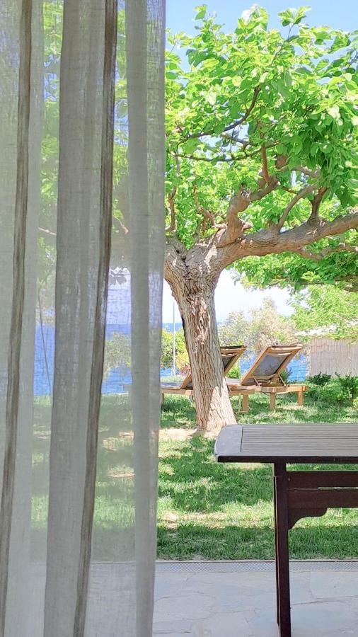 Nama Beach House Arkadiko Chorio Exteriör bild