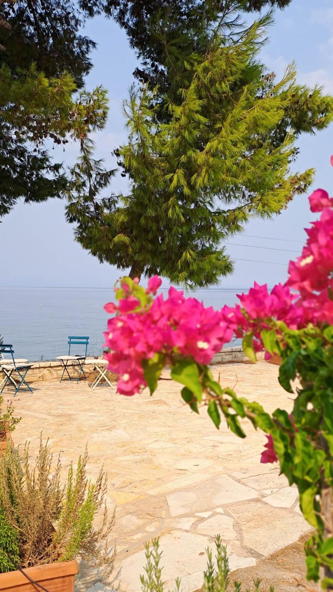 Nama Beach House Arkadiko Chorio Exteriör bild