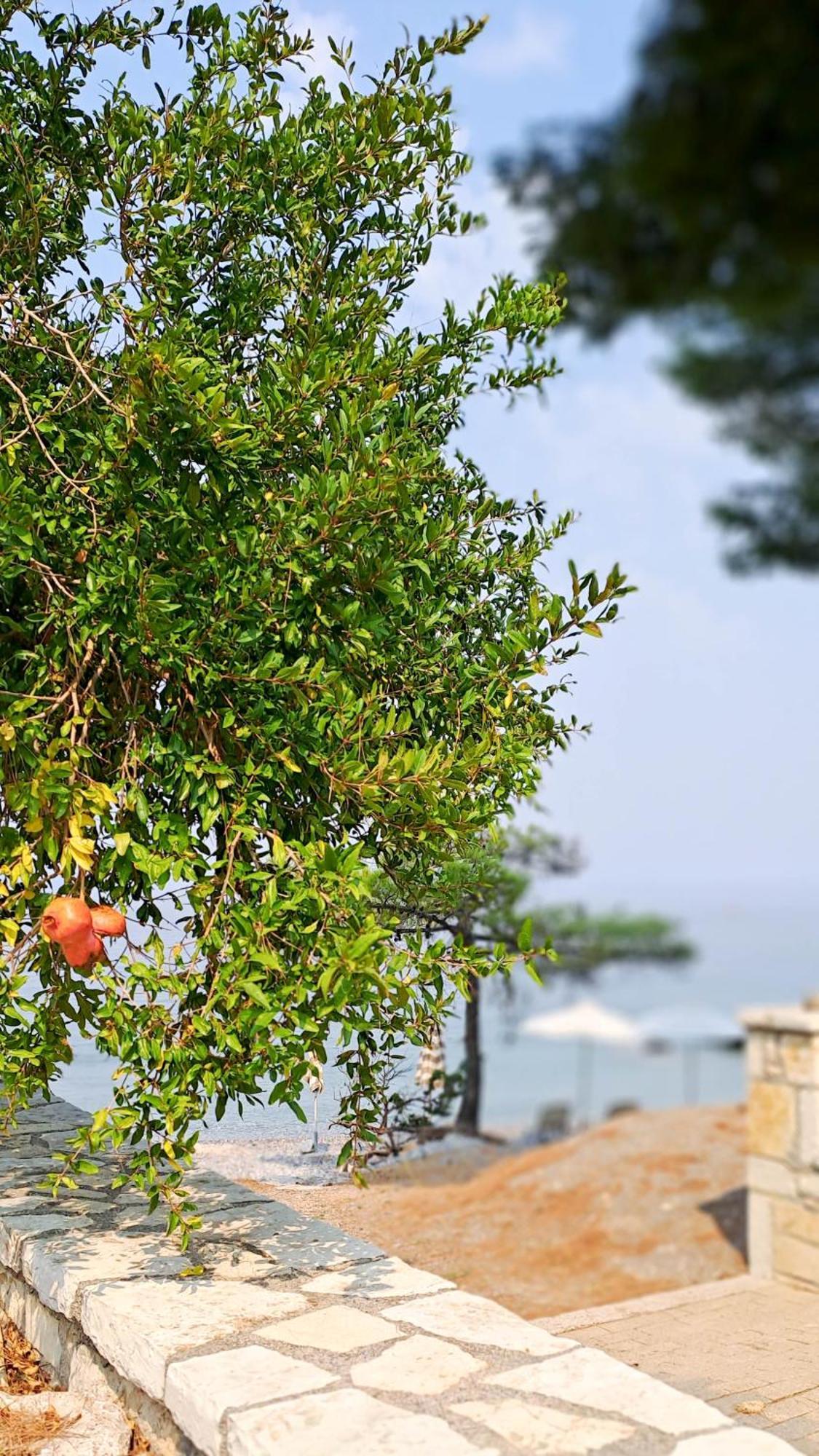 Nama Beach House Arkadiko Chorio Exteriör bild